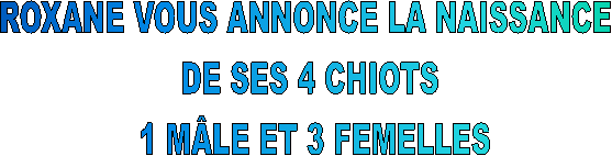 ROXANE VOUS ANNONCE LA NAISSANCE  
DE SES 4 CHIOTS 
1 MLE ET 3 FEMELLES