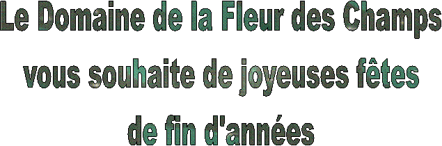 Le Domaine de la Fleur des Champs
vous souhaite de joyeuses ftes
de fin d'annes
